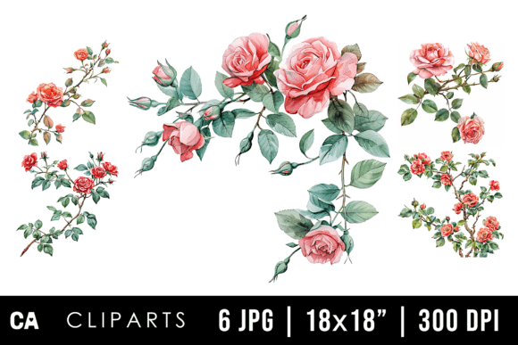 Download Watercolor Rose Flower Branch Cliparts - Branch Collection